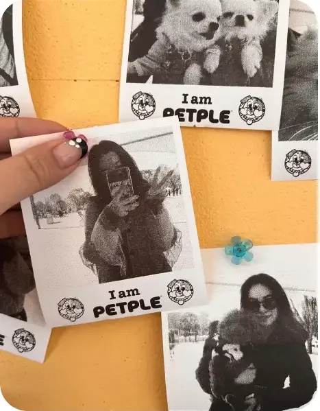 노란 벽에 "I am PETPLE" 스티커와 함께 붙인 반려동물·인물 영수증사진, 손으로 사진을 떼어내는 모습